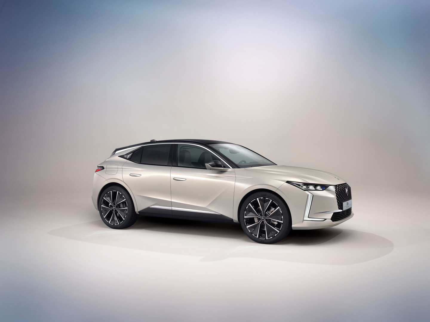 SMALL_DS4(1)